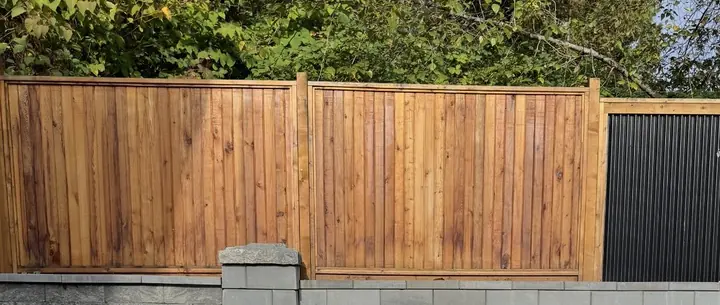 Solid board fence panels and a corrugated metal panel at the yard