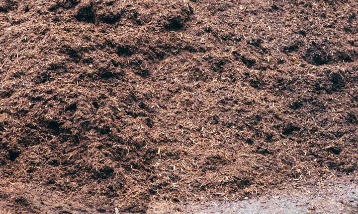 Bark mulch, close up