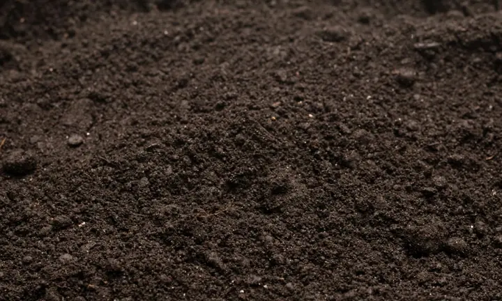 Garden blend soil, close up